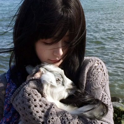 星际狗狗
